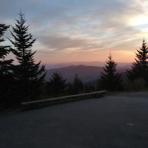 Meet your Posher, Posh